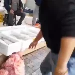 فیلم گربه ماهی ۱۰۰ کیلویی‌در بازار ماهی فروشان بندرکیاشهر