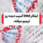 کیوی، محافظ بی برو برگشت DNA + فیلم