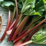 ریواس گنجینه‌ای از خواص شگفت‌انگیز + طرز تهیه خورشت، دسر و شربت خوش‌طعم