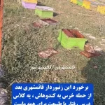 فیلم حمله خرس به کندوهای عسل در سوادکوه ! / رفتار زنبوردار را ببینید