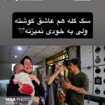 پیام مهدی قایدی به وطن‌فروشان!