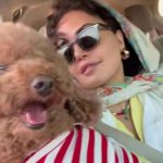 الناز شاکردوست با یک عکس متفاوت خودنمایی کرد
