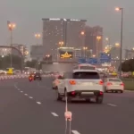 فیلم قدم زدن یک فلامینگو در وسط خیابان‌های دبی