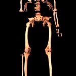 کشف اسکلت 4500 ساله: روایتی تازه‌ از تاریخ مصر باستان + عکس