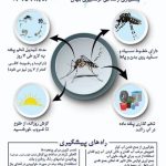 هشدار وزارت بهداشت درباره پشه آئدس