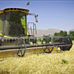 شازند؛ روایت پایداری در عصر فرسایش خاک و فراموشی آب