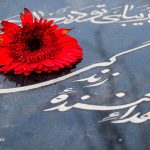مرگ مغزی پایان نیست؛ آغاز ۸ زندگی تازه است