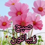 تفسیر فال حافظ امروز 23 مرداد