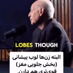 تفاوت پیچیده کدهای مغز زنان و مردان که شگفت زده تان می کند! + فیلم