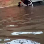 بمبئی در محاصره سیلاب /  زندگی ۳۰ میلیون نفر مختل شد+ فیلم