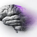 ردپای لیتیوم در محافظت از مغز در برابر آلزایمر
