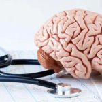 راز پیشگیری از آلزایمر؛ کشف یک ماده مغذی خاص