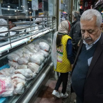 بسته‌بندی مرغ از مرغ گران‌تر شد!