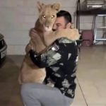 توله‌شیر امیر علی‌اکبری در پارک ارم تلف شد