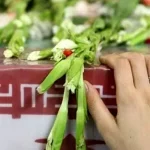 شهادت یک مامور پلیس در خوزستان