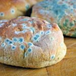 قوی‌ترین سموم بیماری‌زا در مواد غذایی فاسد و کپک‌زده