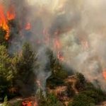 آتشسوزی گسترده در جنگلهای ایلام