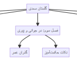 ببینید سعدی چه نقشه ذهنی برایتان کشیده است!