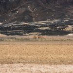 نجات گاوخونی در شب‌های بخارا