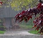 پیش بینی سازمان هواشناسی از وضعیت دما و باران تا اول زمستان