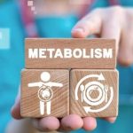 عوامل موثر بر سوخت‌وساز بدن