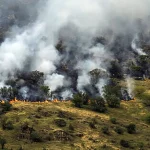 گروهی از نیروهای عملیاتی مجهز به تجهیزات اطفای حریق جنگل الیت به ارتفاعات منتقل شده‌اند / احتمالا شب را در منطقه می‌مانند + فیلم