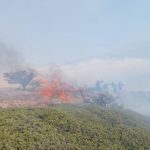 آتش‌سوزی گسترده در ۳۰۰۰ متر از جنگل‌های استان گلستان