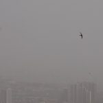 سفارت دانمارک درباره شرایط تهران اعلام خطر کرد