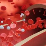 ریزپلاستیک‌ها متهم بروز بیماری‌های عروقی هم شدند