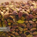 تأثیر مصرف پسته در شب بر میکروبیوم روده در مبتلایان پیش‌دیابت