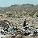 برخورد قانونی با مالکان مراکز پسماندسوزی غیرمجاز در تهران صورت گیرد