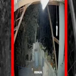 فیلم ورود خرس به منزل مسکونی در خطیرکوه سمنان