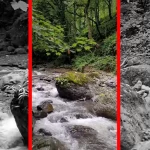 فیلم رودخانه پرآب سیاهکلرود