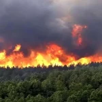 گزارش متناقض مجلس درباره آتش‌سوزی جنگل الیت