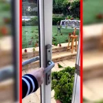 فیلم صحنه دیدنی حضور طوطی ها مقابل درب خانه