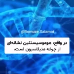 سه راهکار برای پیشگیری از آلزایمر و زوال عقل + فیلم