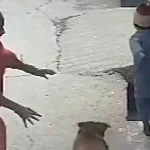 فیلم حمله وحشتناک سگ به کودک در هندوستان