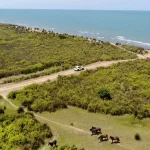 همنشینی دریا و پارک ملی بوچاق بندر کیاشهر گیلان + فیلم