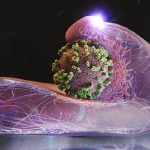 مهار موج شدید آنفلوآنزا در کشور تا اواسط دی‌ماه