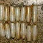 کشف ۱۴ بسته هروئین از معده مسافر