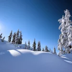 از کوه‌ها در لباس سفید تا زمستان