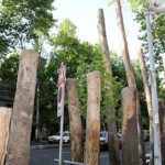 رشد نجومی قطع درختان در تهران در ازای ۳ هزار میلیارد تومان