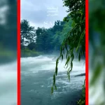 فیلم طبیعت دیدنی ساری