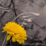 کلیپ ویژه پدران فوت شده در روز پدر